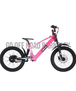 EVVI Roadripper 20” Electric Bike