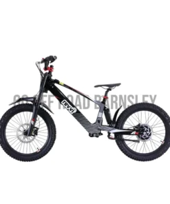 EVVI Roadripper 20” Electric Bike
