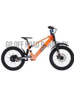 EVVI Roadripper 20” Electric Bike